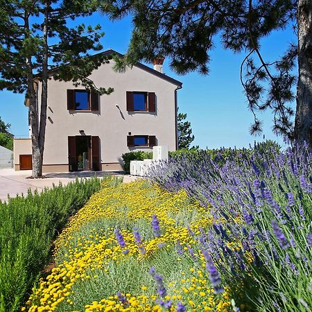 Luxury Villa Gradin Gračišče 외부 사진