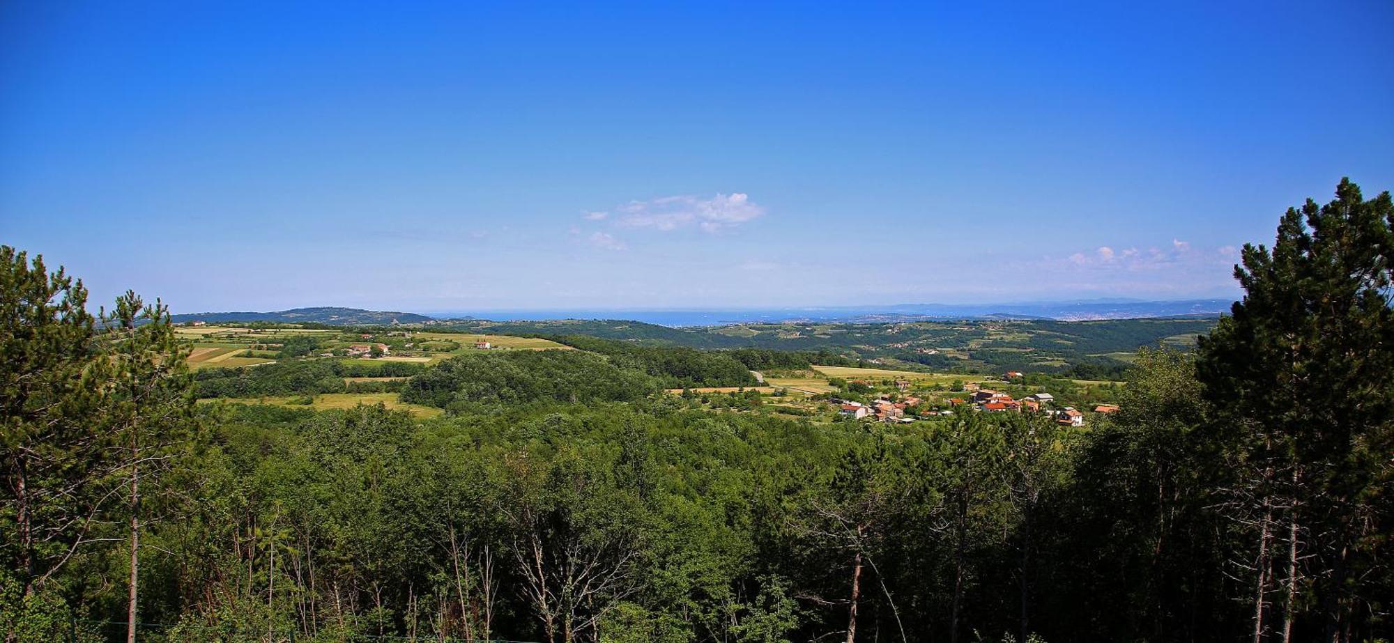 Luxury Villa Gradin Gračišče 외부 사진