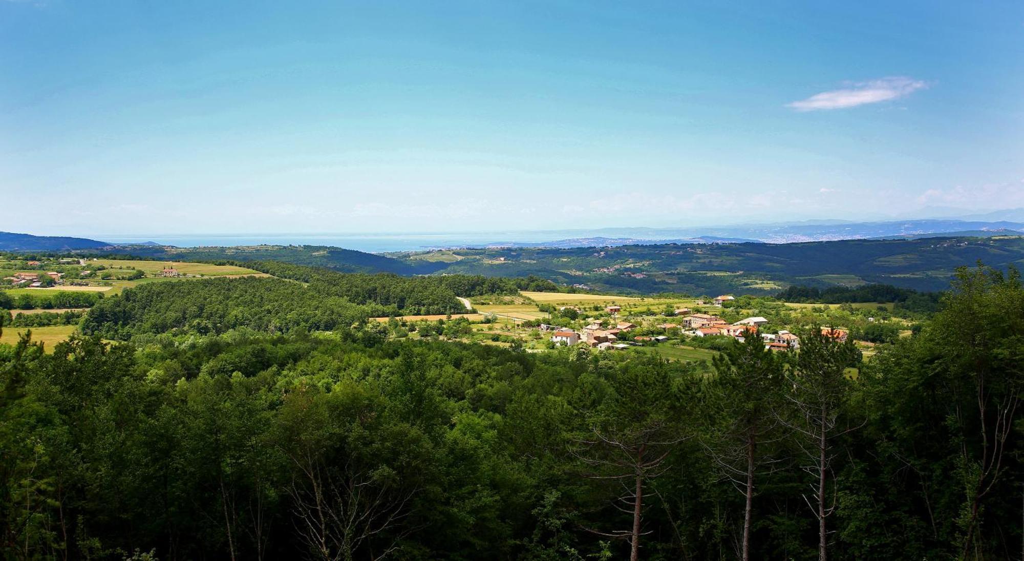 Luxury Villa Gradin Gračišče 외부 사진